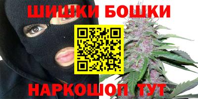 гидра Заводоуковск