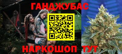 гидра Заводоуковск