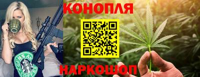 гидра Заводоуковск
