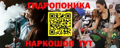 гидра Заводоуковск