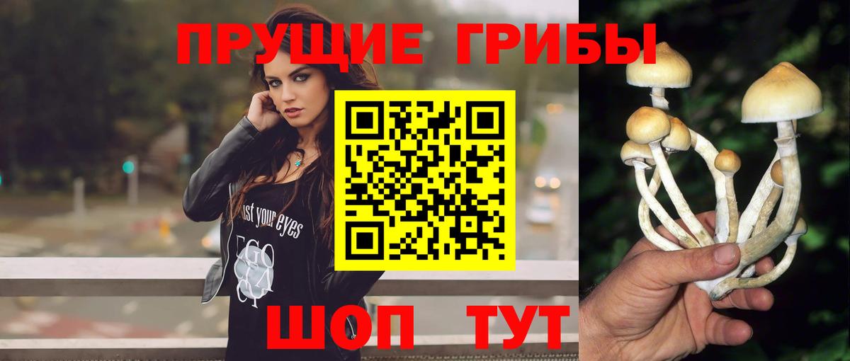 Галлюциногенные грибы мухоморы Люберцы